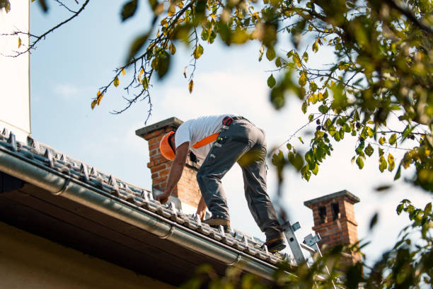 Best Roof Repair Services  in Wolverine Lake, MI